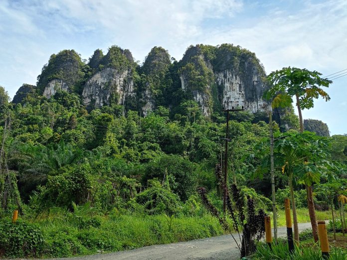 pegunungan meratus